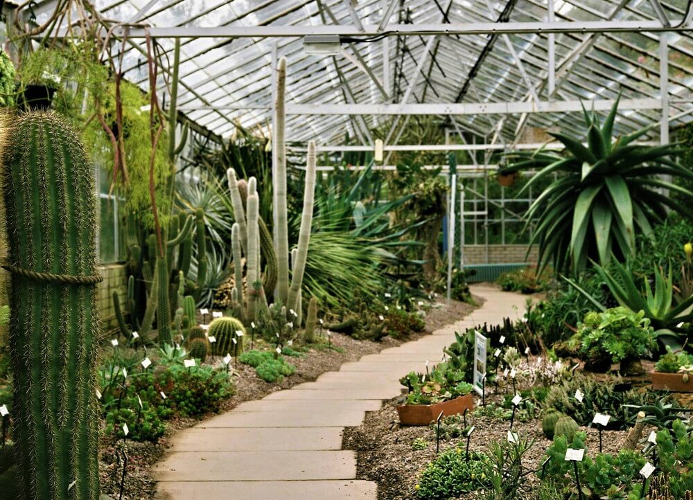 圣安德鲁斯植物园（St Andrews Botanic Garden）